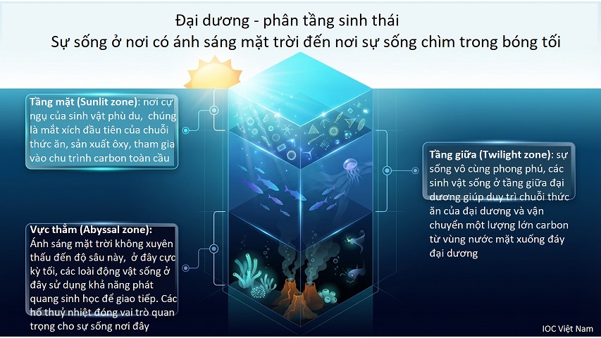 Ocean Literacy Slide3A
