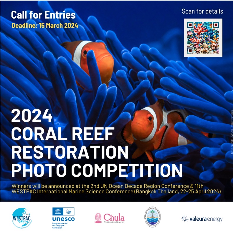 Coral reef photo competition 2024 1