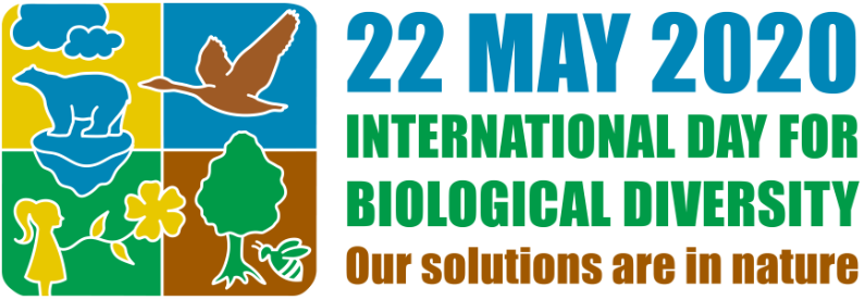 The International Day for Biological Diversity (IDB) on 22 May 2020 is 