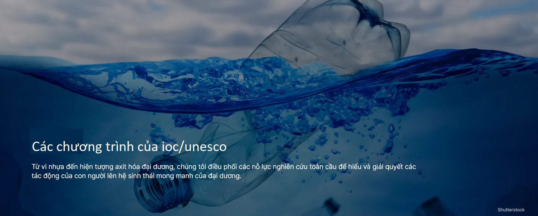 ProgramIOC 01