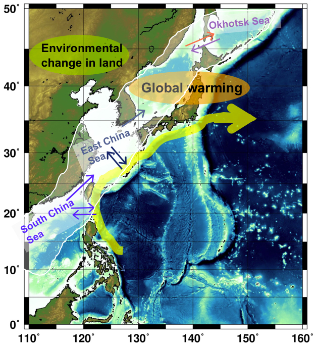 marginal seas