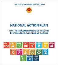 vietnam national action plan e