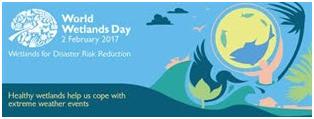 world wetland day